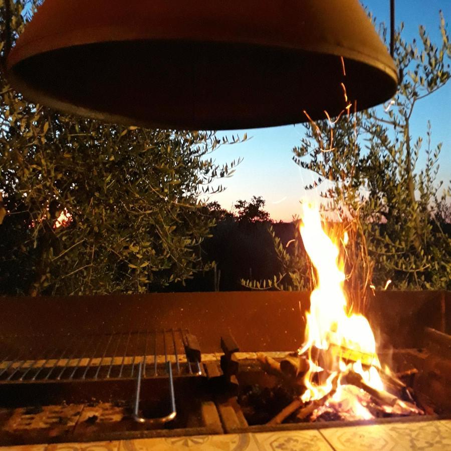 La Vigna Countrybnb Montottone Exterior photo
